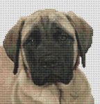 (image for) Mastiff Face